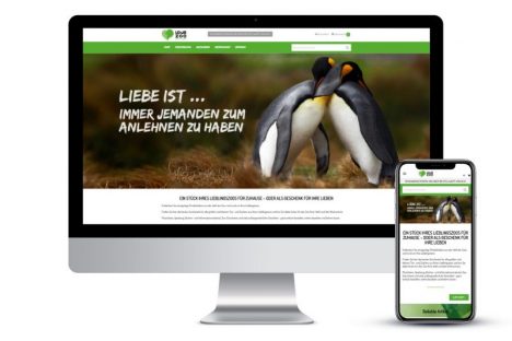 Mockup Desktop & Mobile von lovezoo.de